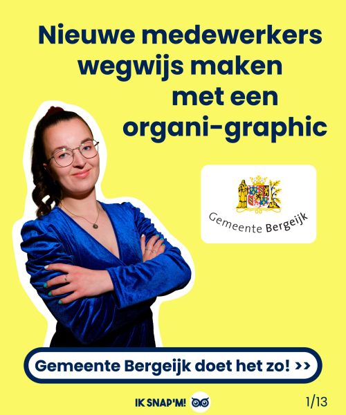 Bergeijk_organigraphc-12