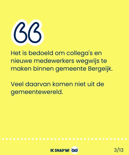 Bergeijk_organigraphc-14