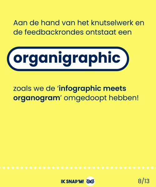 Bergeijk_organigraphc-19